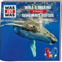 Tonie Tonies Hörfigur WAS IST WAS - Wale & Delfine/Geheimnis Tiefsee -Tonies wal1 1280x1280